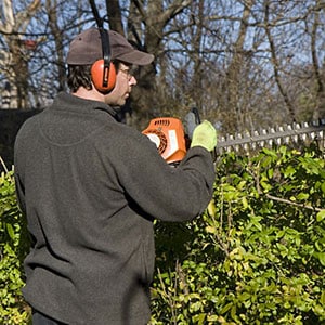 A worker trimming shrubs A worker trimming shrubs